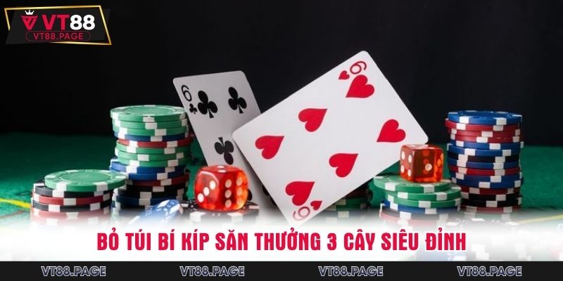 Bỏ túi bí kíp săn thưởng 3 cây siêu đỉnh