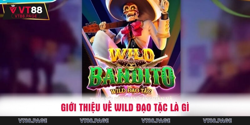 Thông tin giới thiệu về game Wild đạo tặc