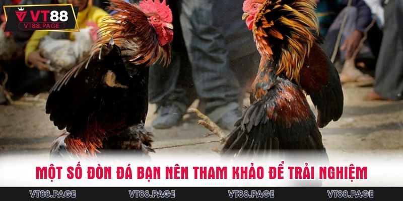 Một số đòn đá bạn nên tham khảo để trải nghiệm
