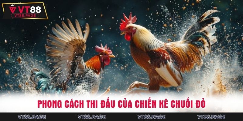Phong cách thi đấu của chiến kê chuối đỏ