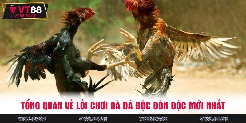 Tổng quan về lối chơi gà đá độc đòn độc mới nhất