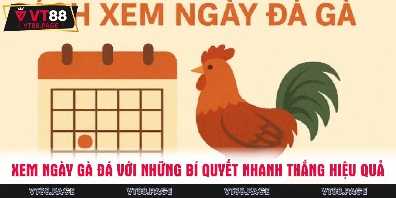 Xem ngày gà đá